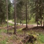 Gravel Experience Dolomieten 11-16 september