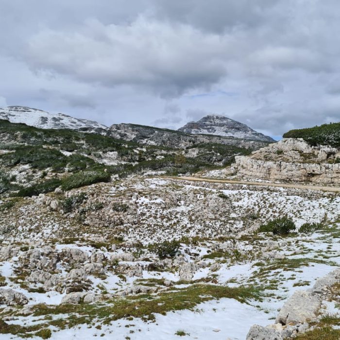 WhatsApp Image 2024-09-17 at 21.26.38 (3)