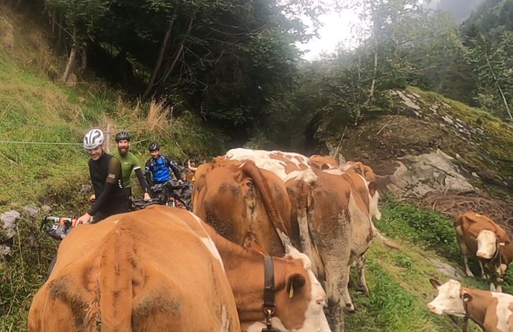 cyclosportive travel