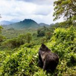 Future 4 Kids Rwanda 19-29 september