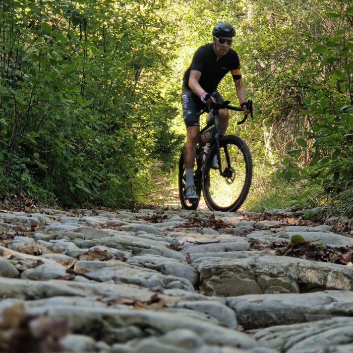 1c4e79f5-e3e7-47cf-99fd-4e62a26cbc84