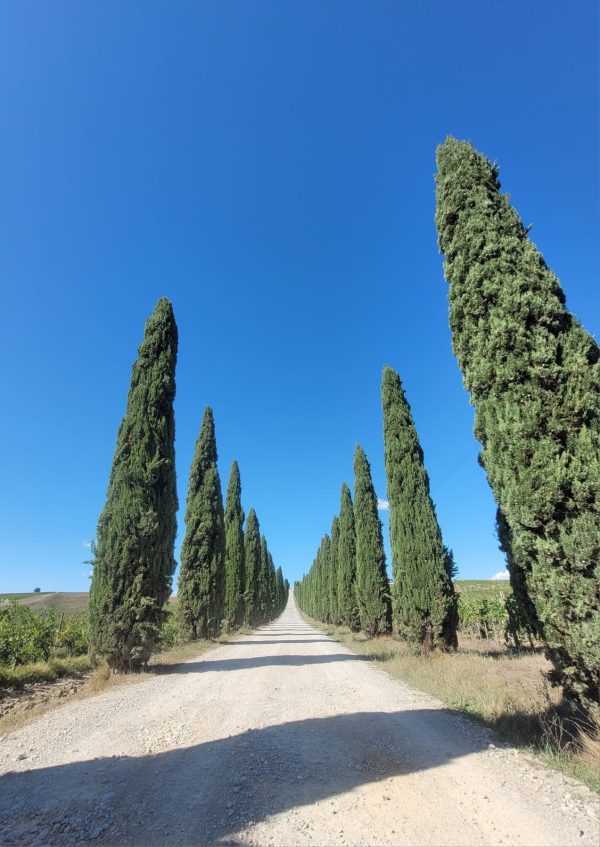 Bikepacken wanneer het jou schikt!